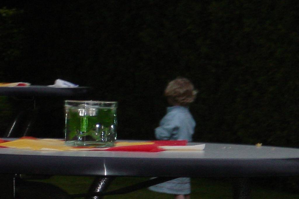 Photo 045.jpg
