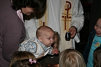 img_2233.jpg